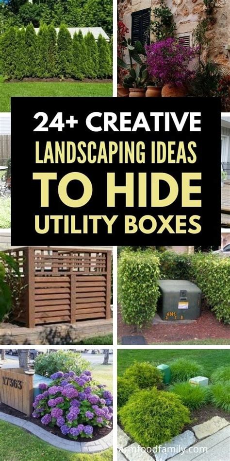 plants to cover electrical boxes|plants to hide unpleasant areas.